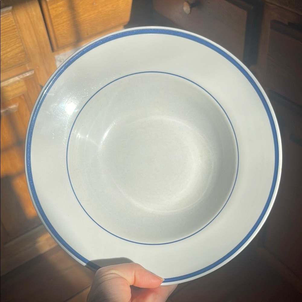 Elegant White and Blue Ceramic Dinnerware Plate